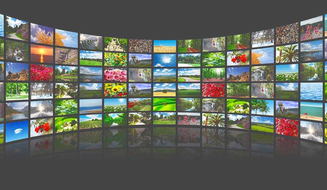 Using Internet images